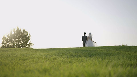 新郎和新娘在草地上牵手走路