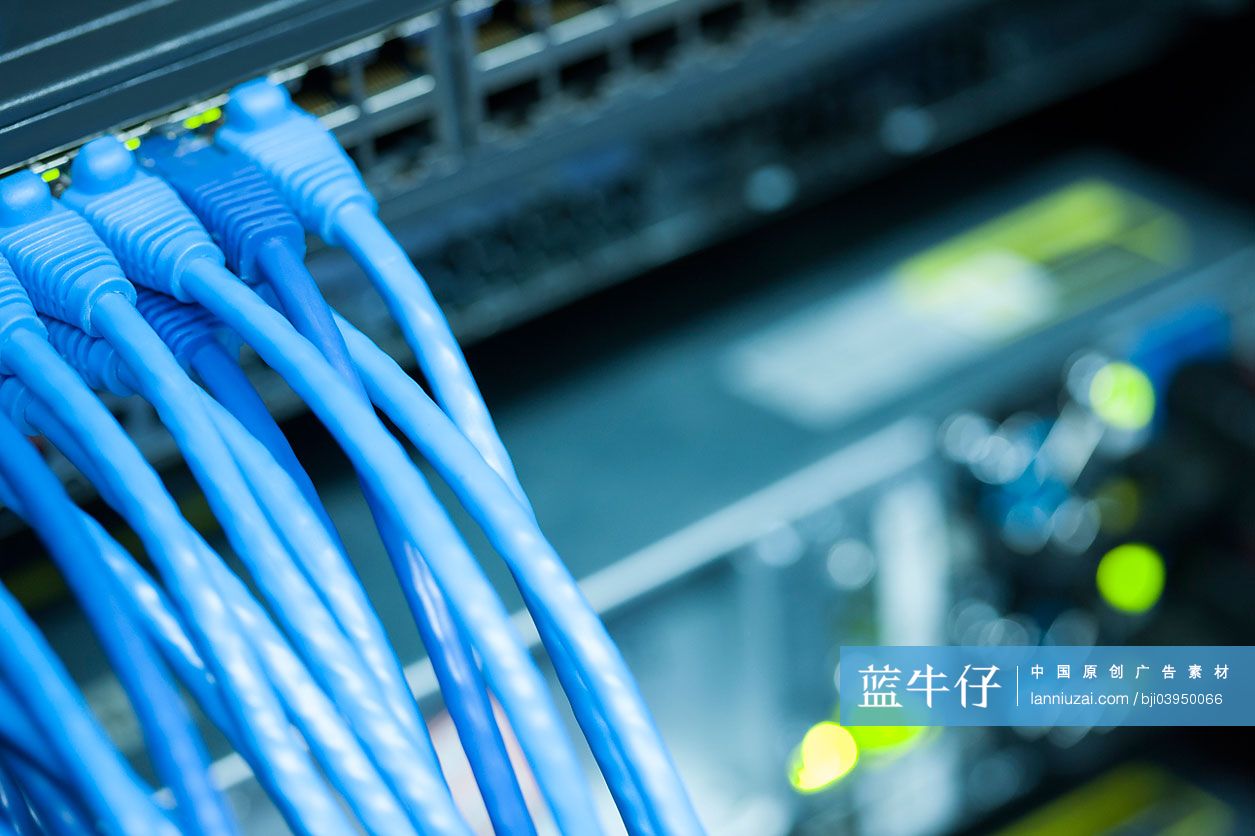 网络服务器和网线