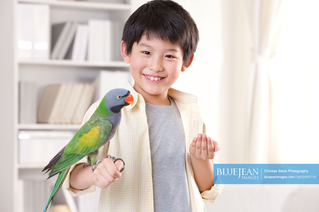 Little Chinese boy playing with a pet parrot