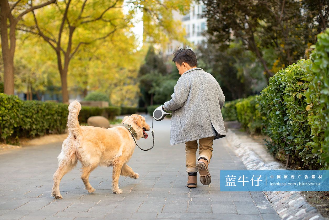 小男孩和狗奔跑