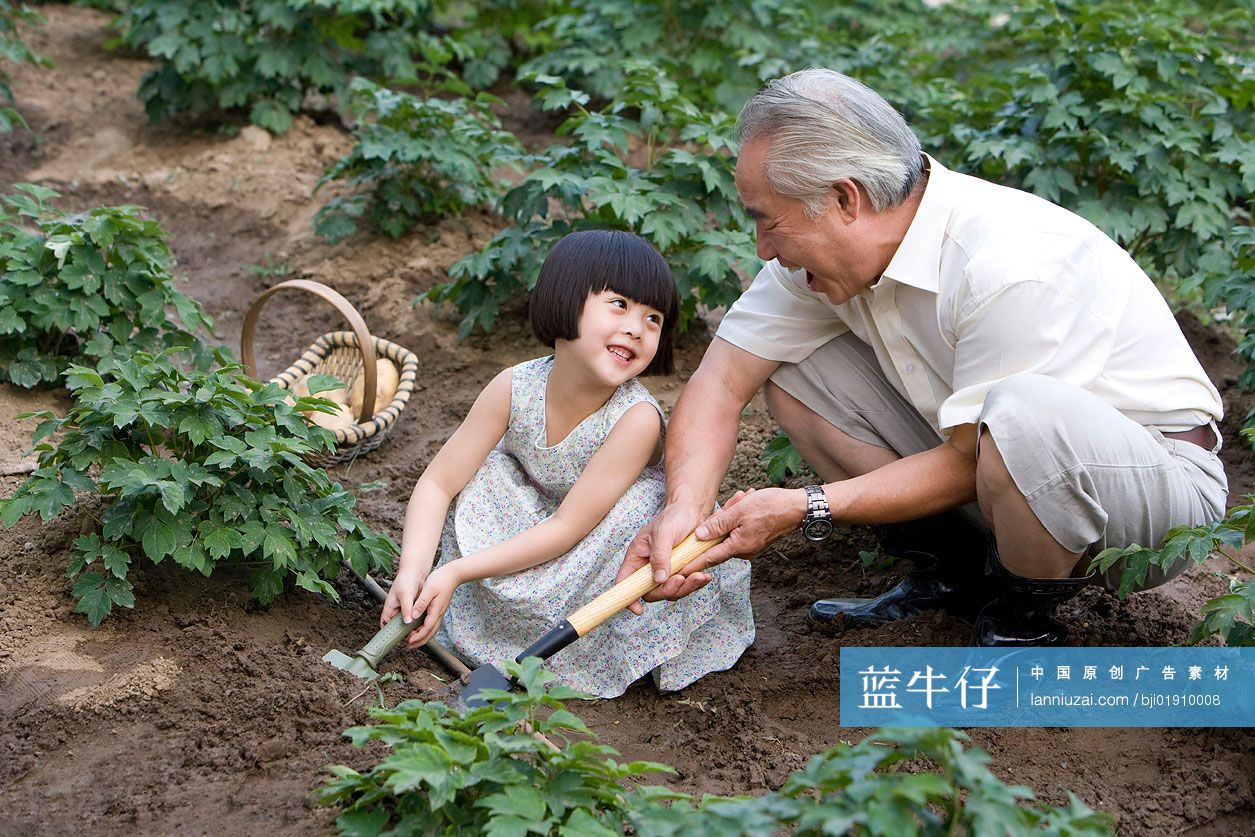 祖孙在现代农庄采摘