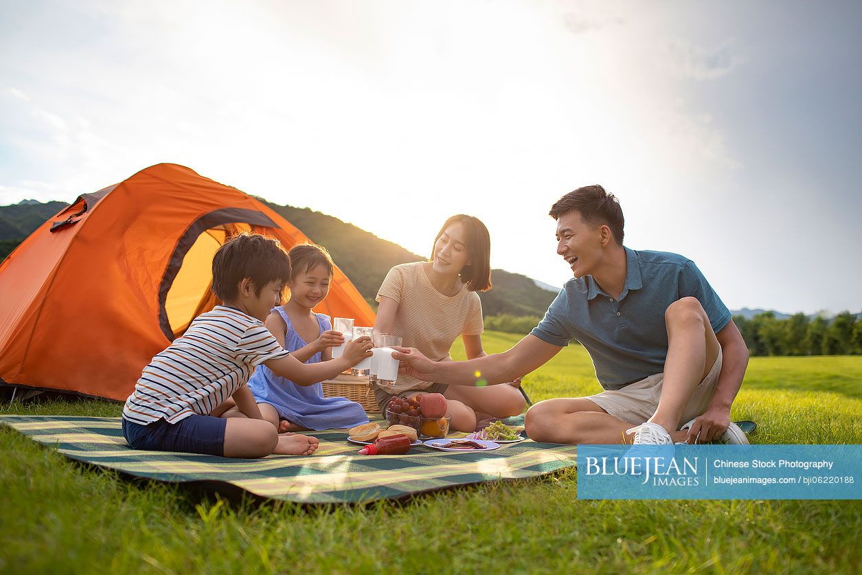 Happy young Chinese family having a picnic outdoors