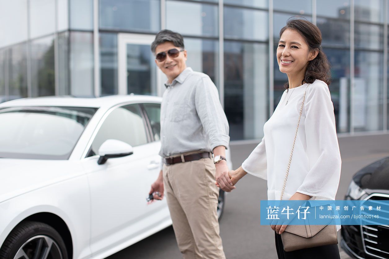 快乐的成熟夫妇购买汽车