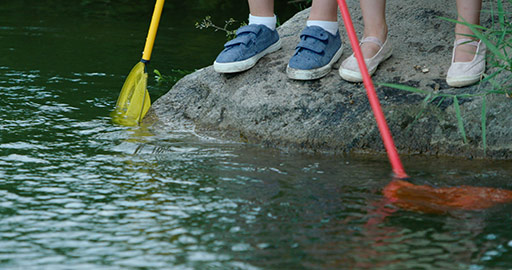 Chinese children playing with fishing net outdoors,4K