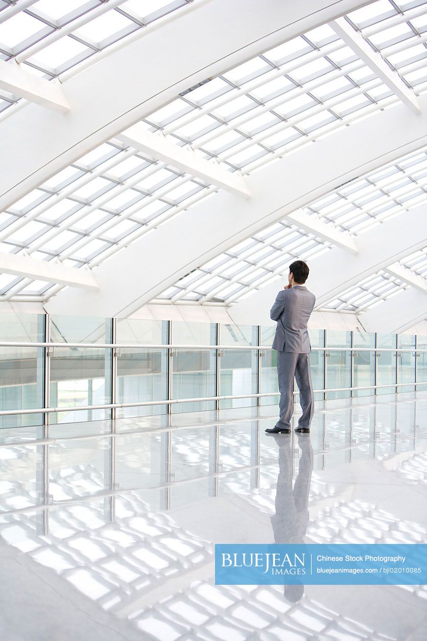 Rear View Of Chinese Businessman Standing In Empty Hall High Res Stock