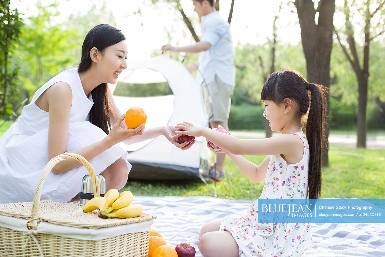 Happy young Chinese family having picnic on grass