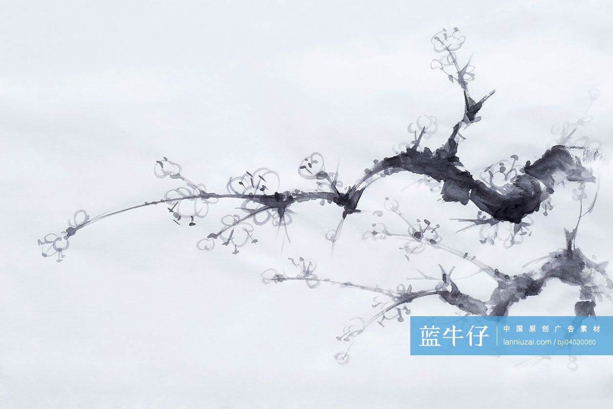 中国画梅花图