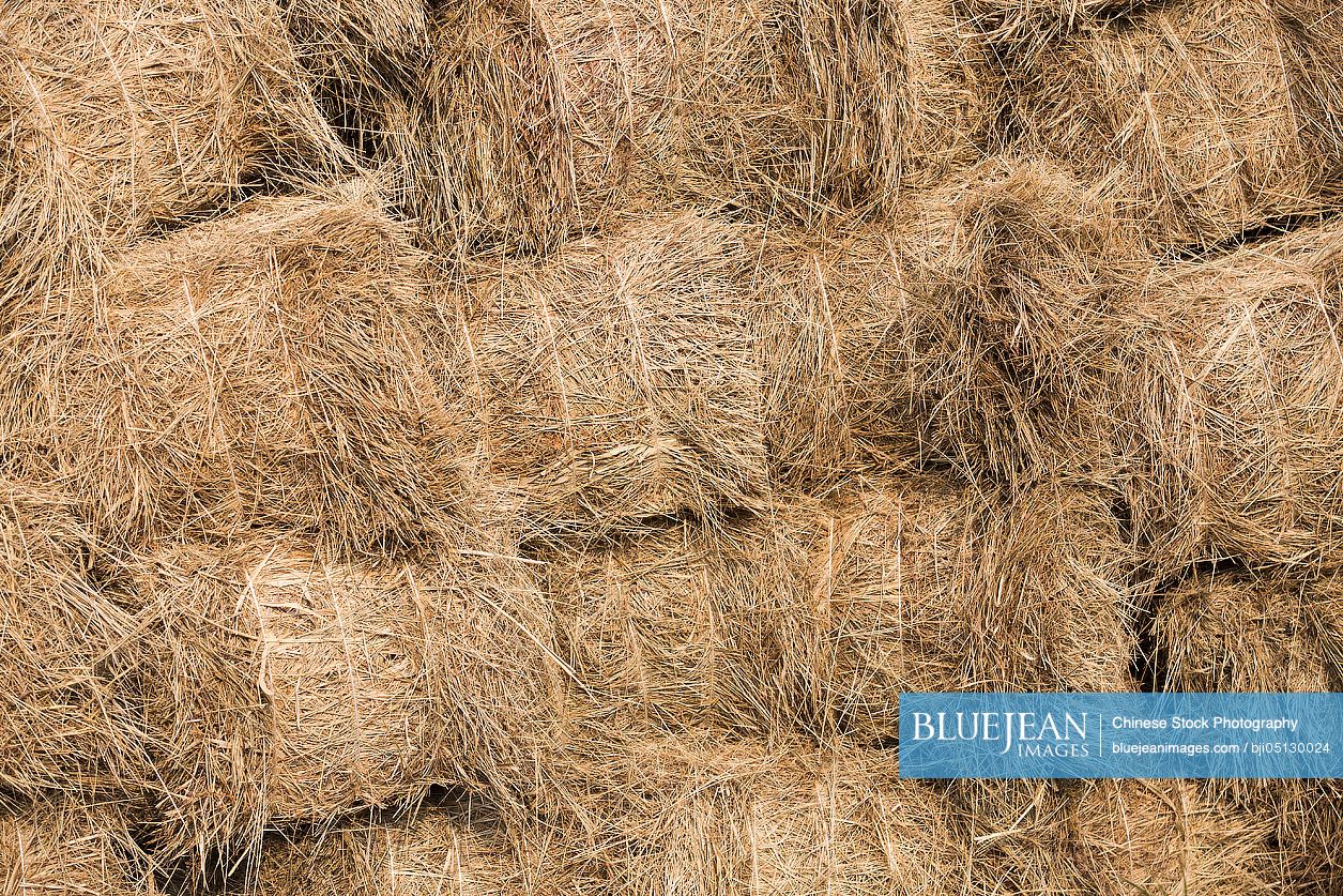 Full frame shot of hay