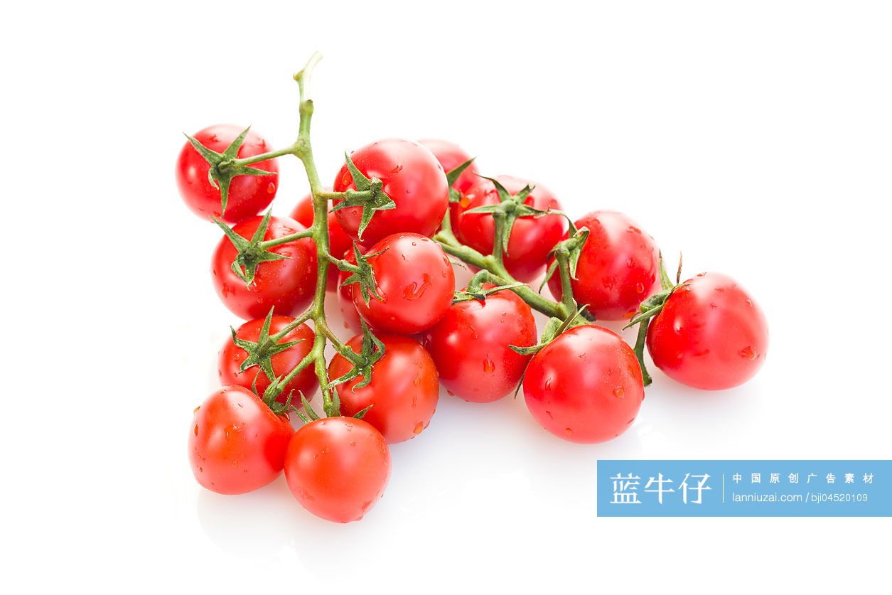 新鲜的小番茄