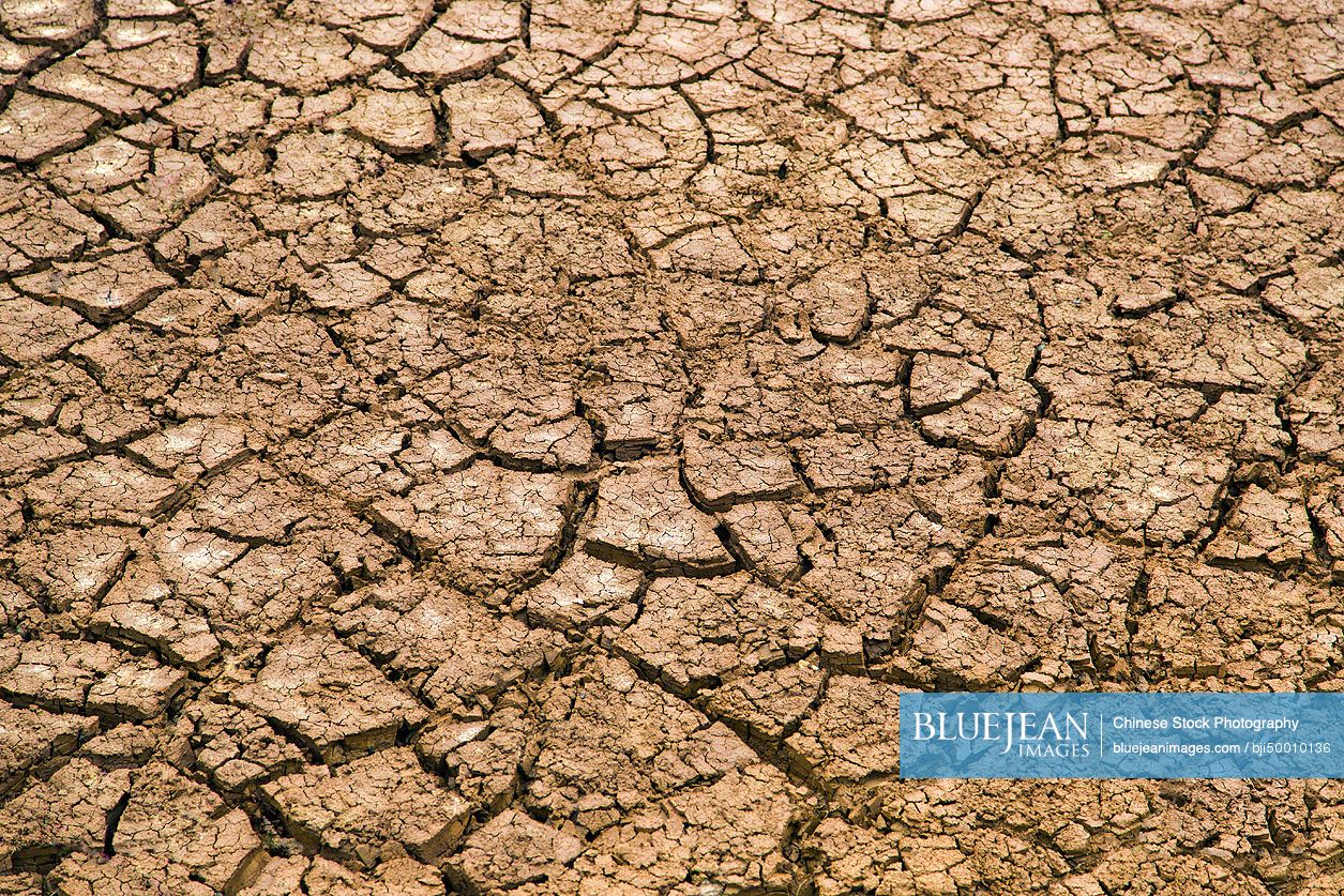 Cracked earth