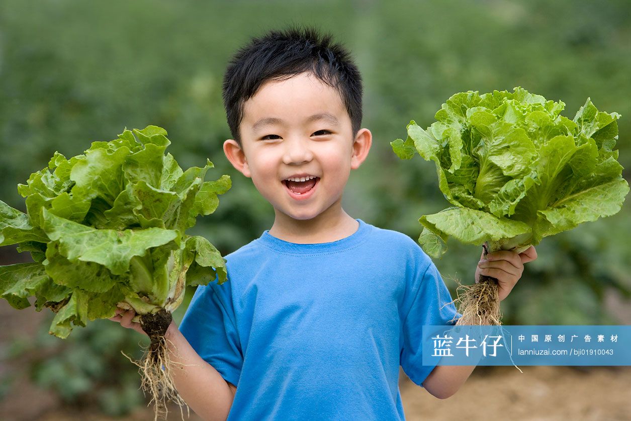 小男孩在现代农庄采摘