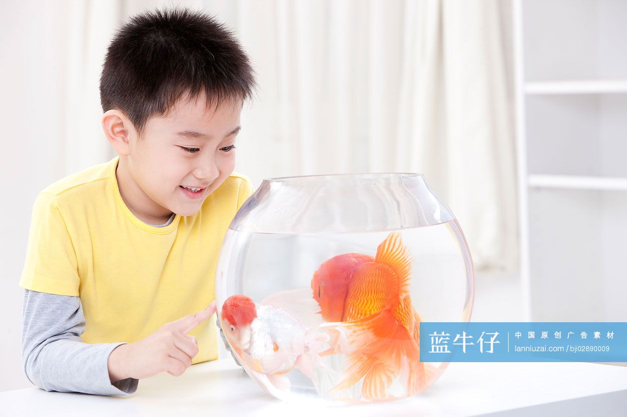可爱的小男孩和金鱼