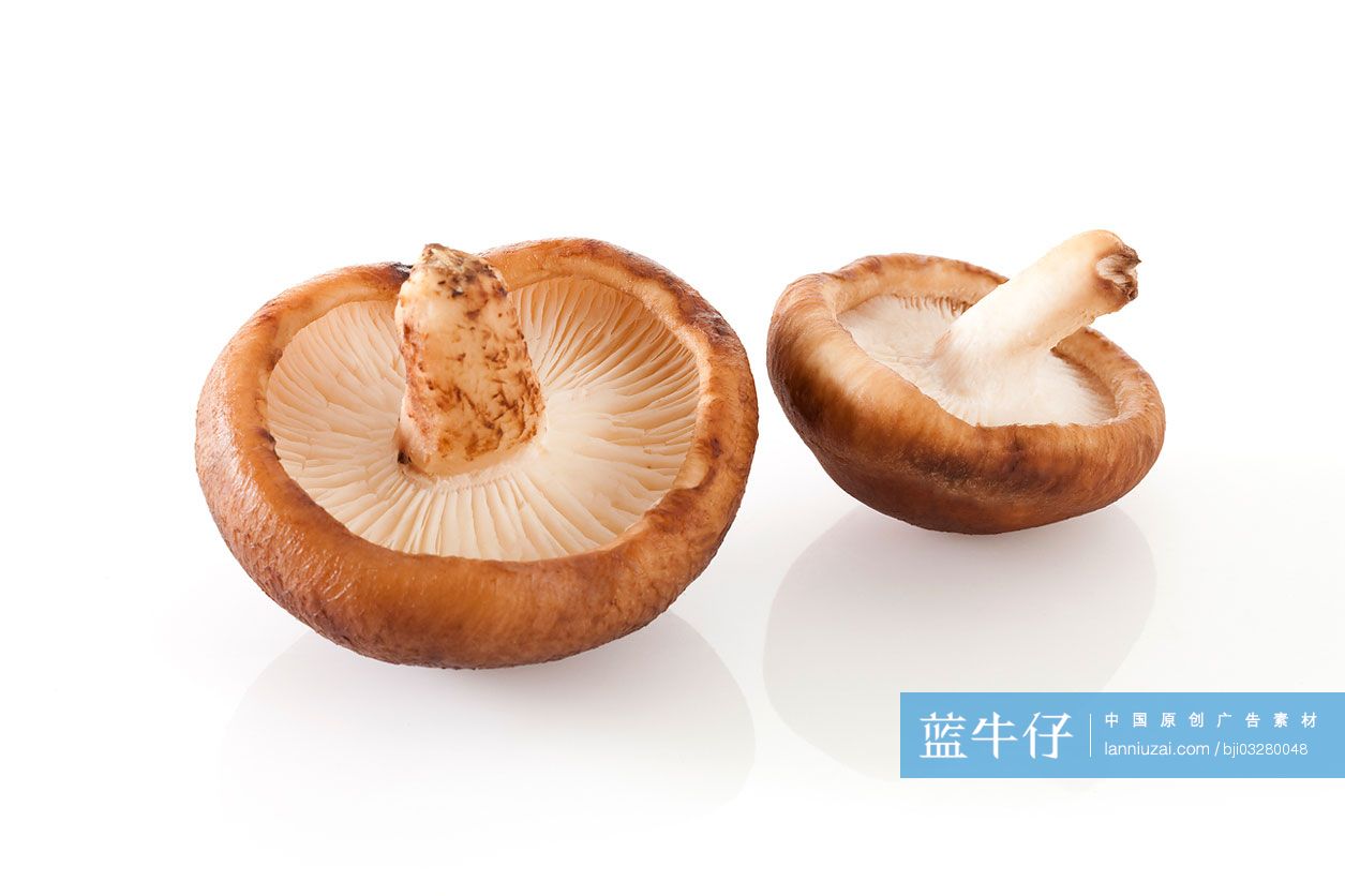 香菇