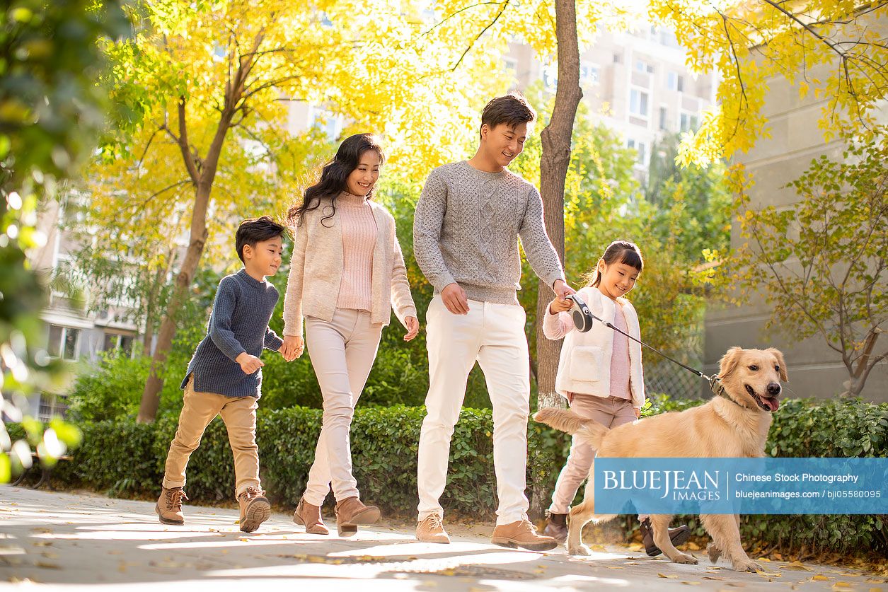 Happy young Chinese family walking their dog