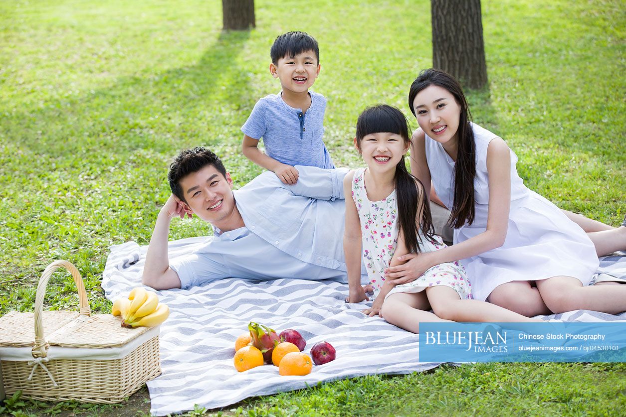 Happy young Chinese family having picnic on grass