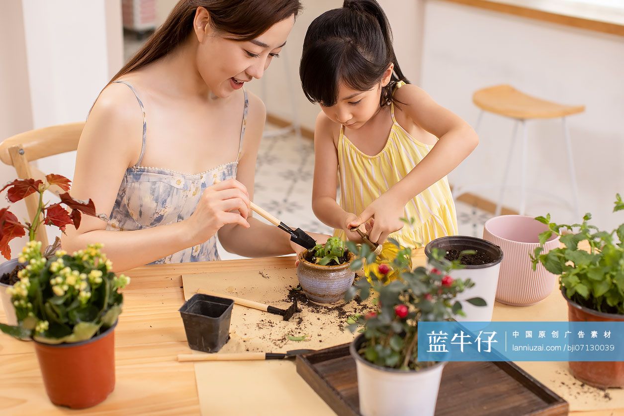 快乐的母女俩在家里种植盆栽
