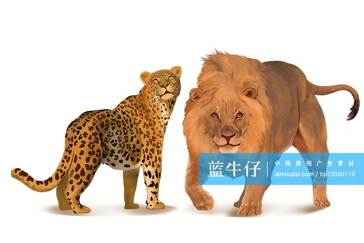 猎豹和狮子