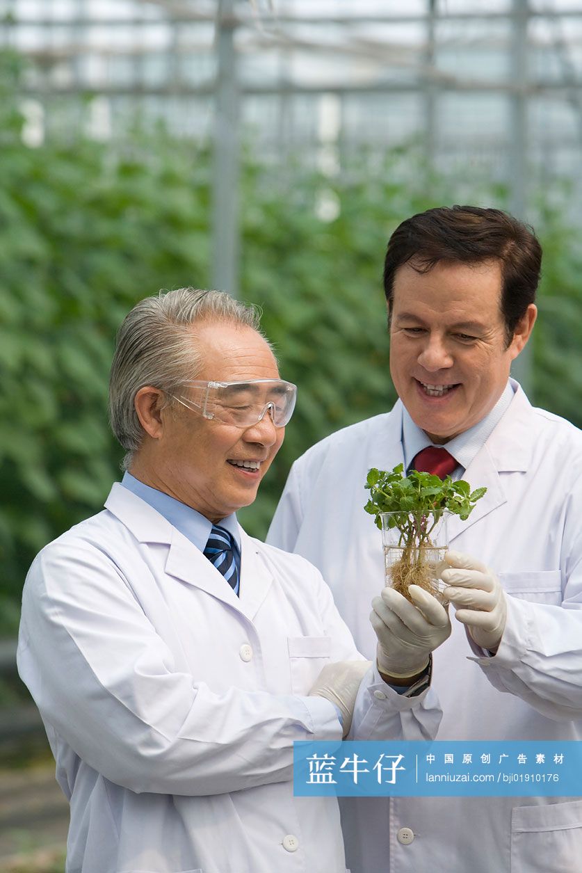 农艺师在现代农庄做科学研究
