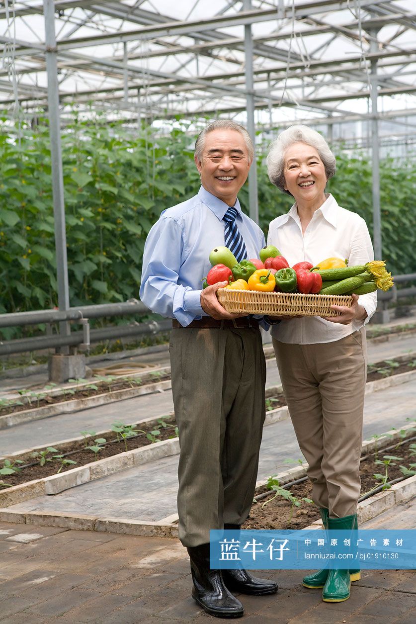农场主夫妇手捧蔬菜