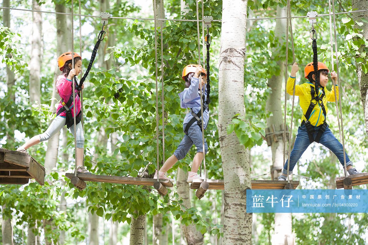 快乐的孩子们挑战树上穿越项目