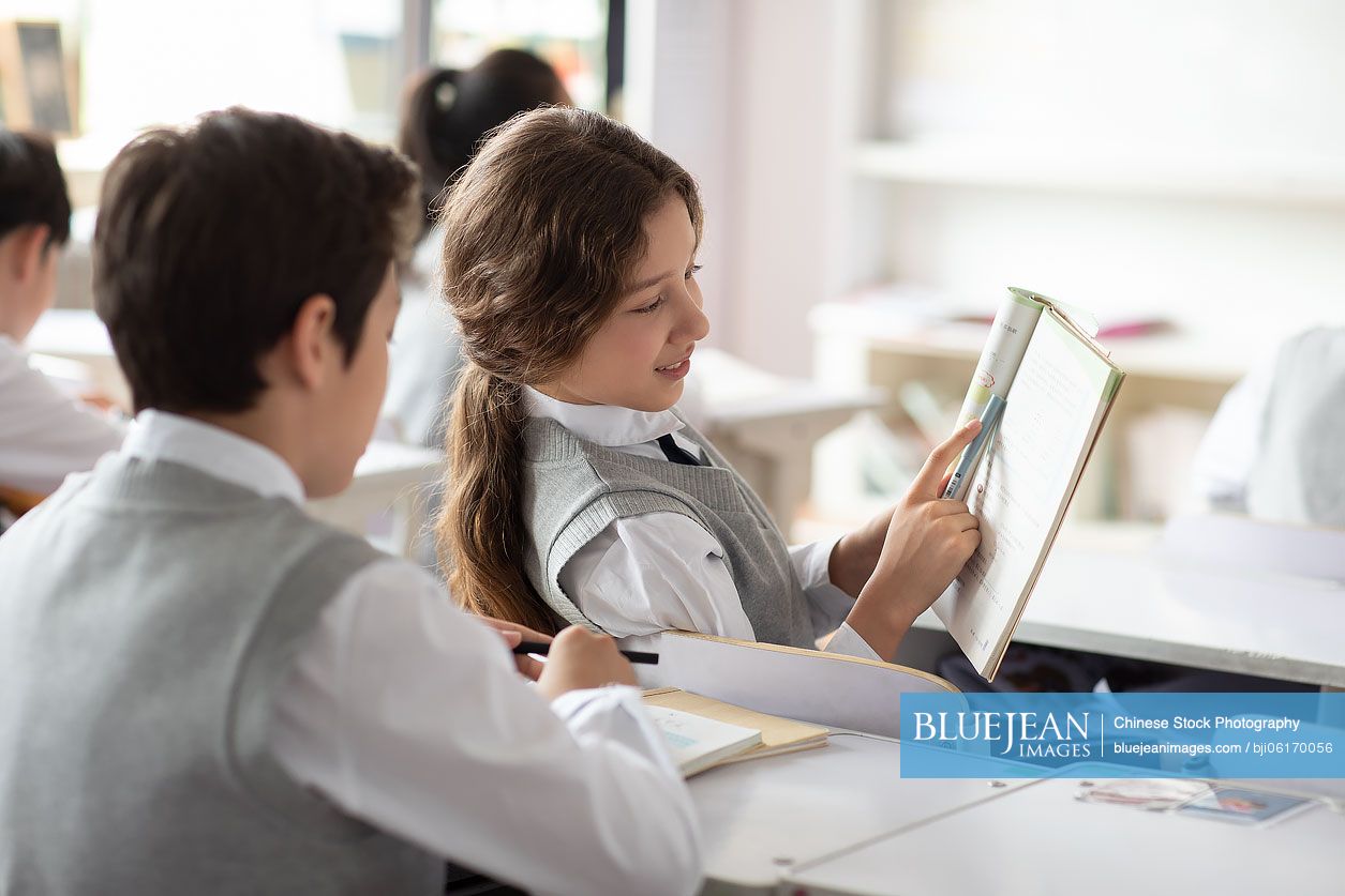 Students learning in classroom