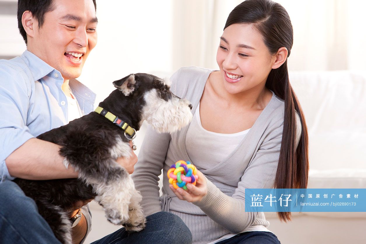 青年夫妇和雪纳瑞狗