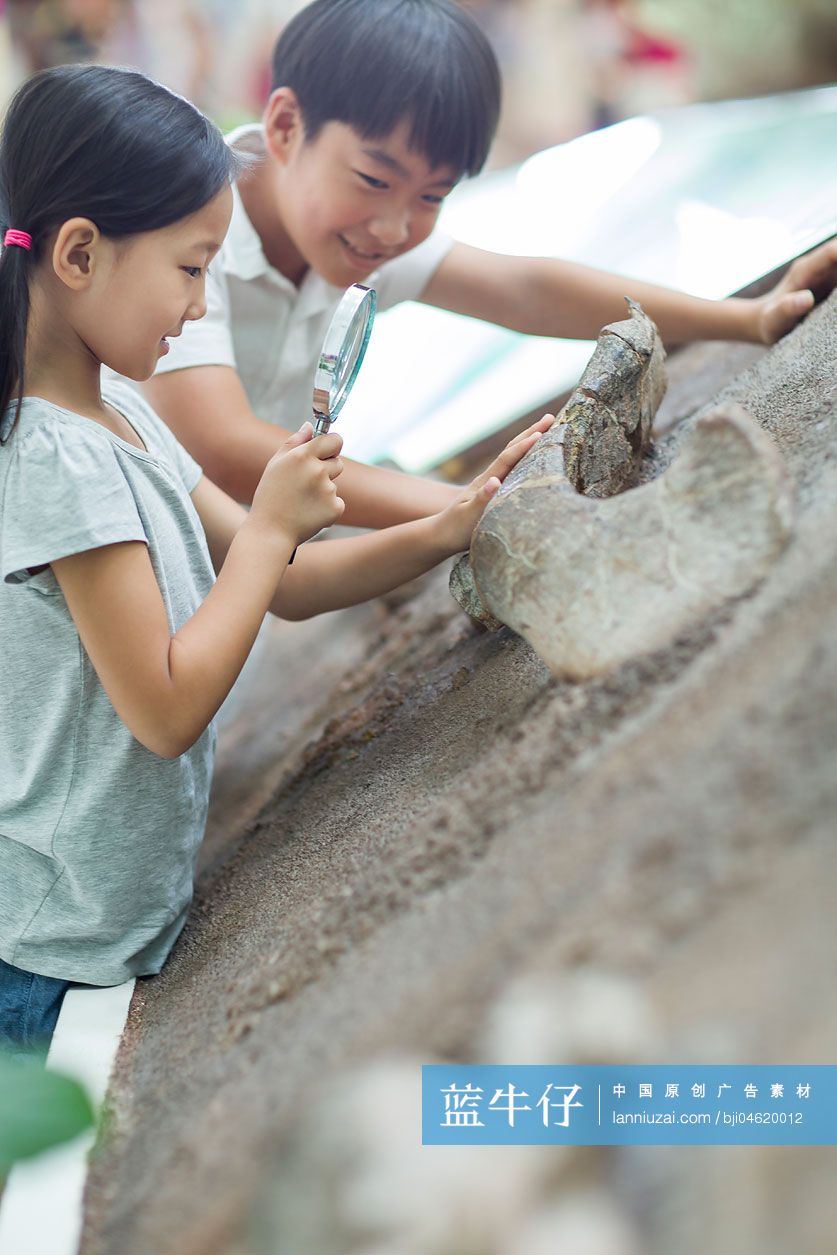兄妹俩参观自然博物馆