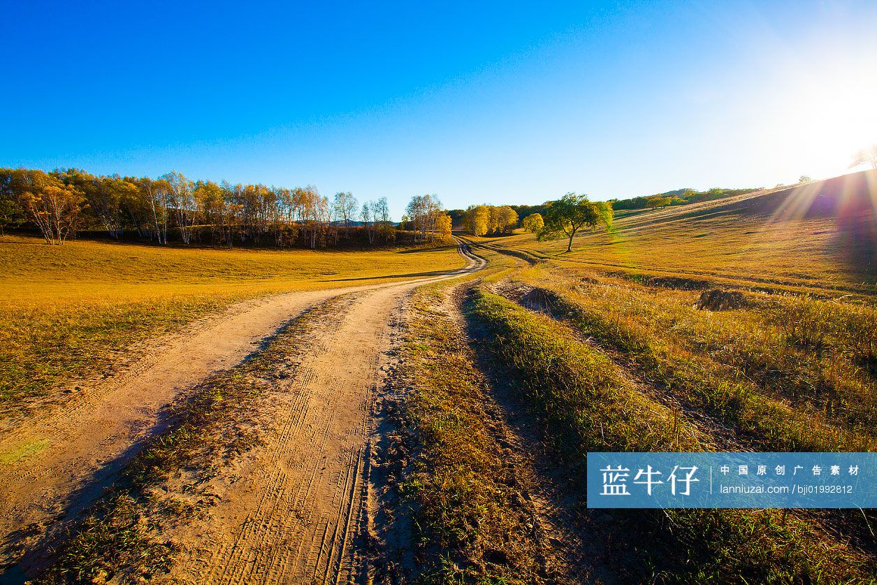 草原美景