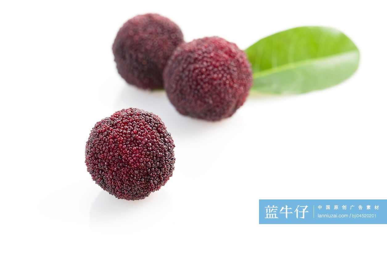 杨梅