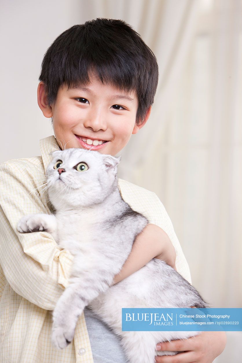 Young Chinese boy playing with a scottish fold cat