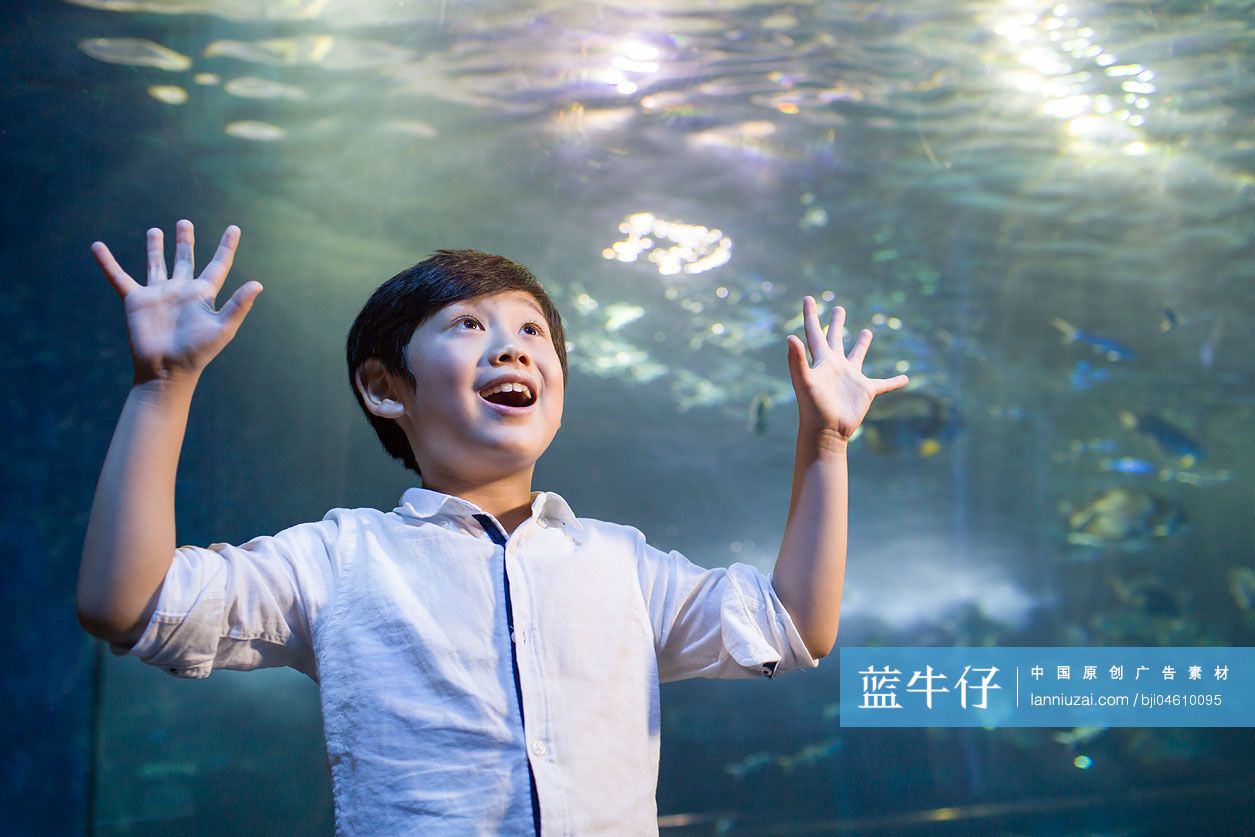 小男孩参观海洋馆