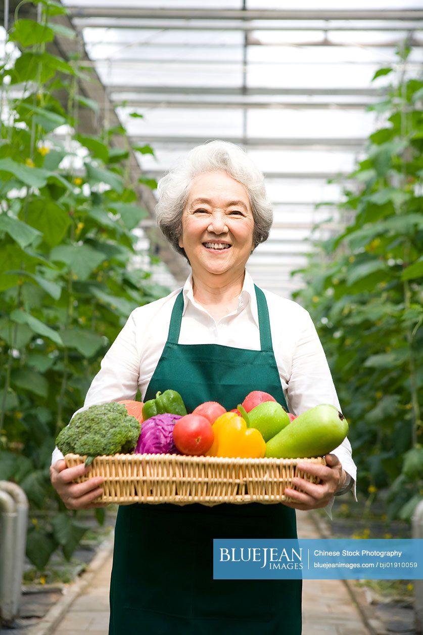 Chinese farmer holding vegetables in modern farm