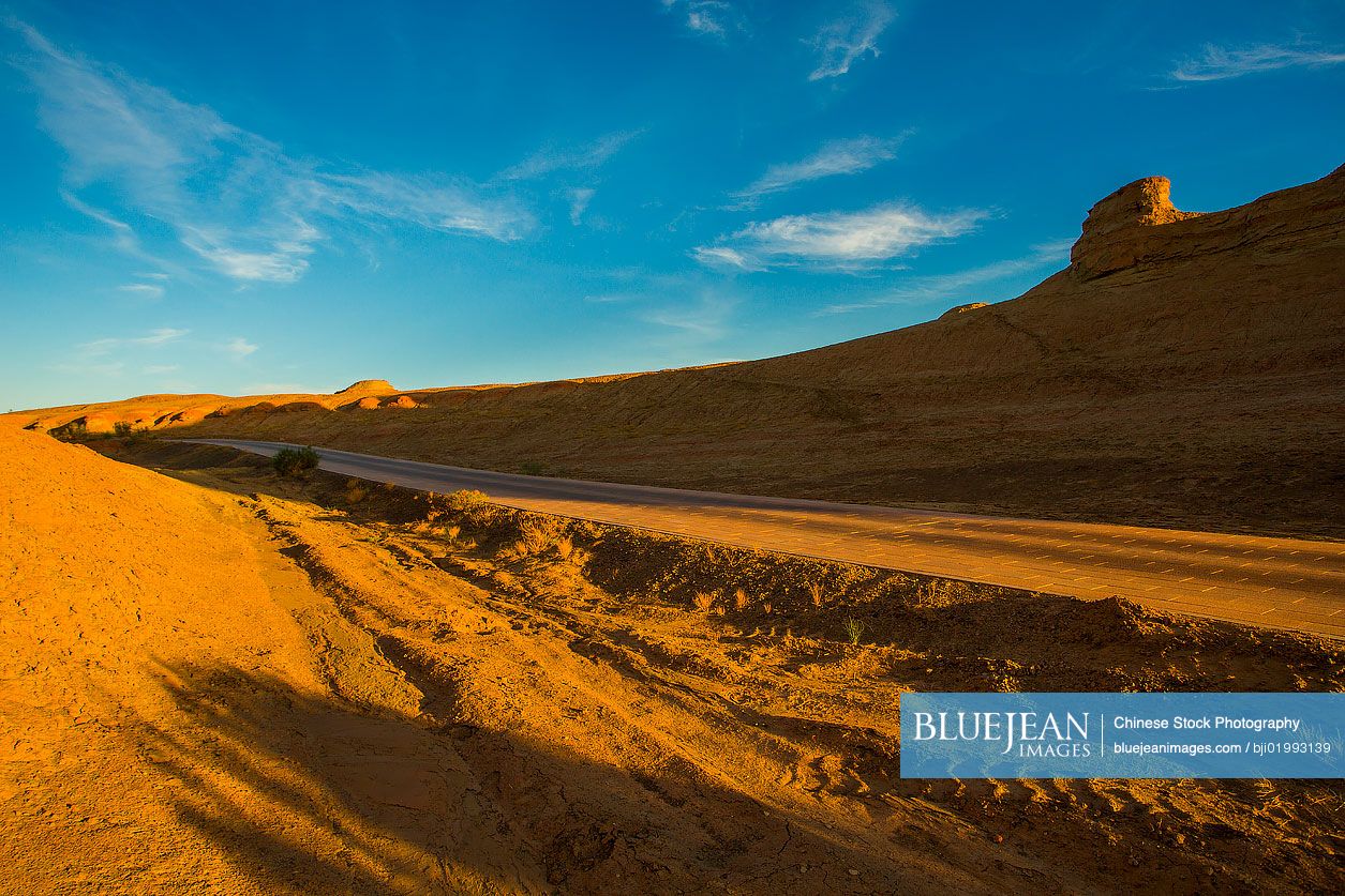 Road in the nature