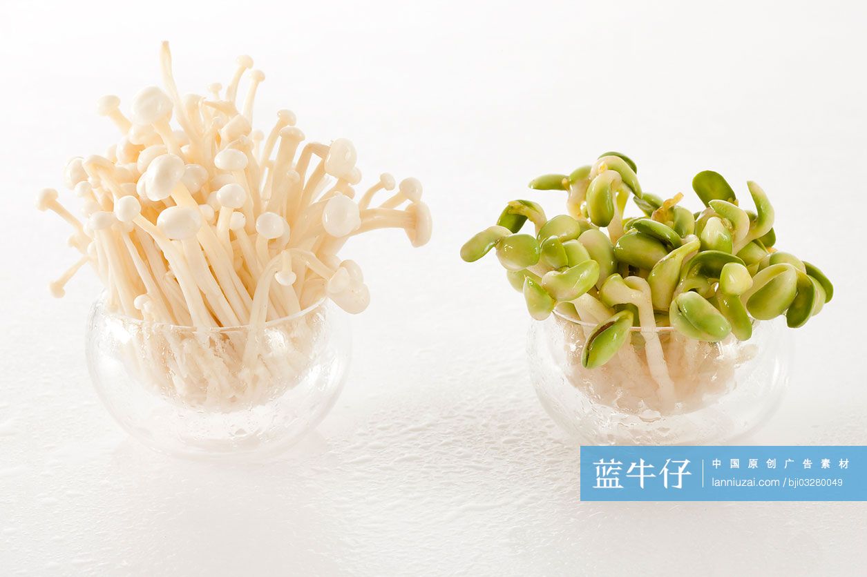 金针菇和豆芽