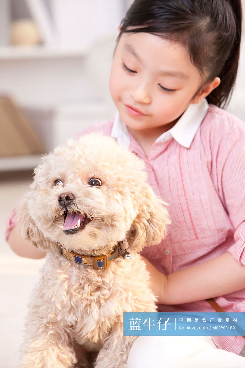 小女孩和泰迪狗一起玩耍