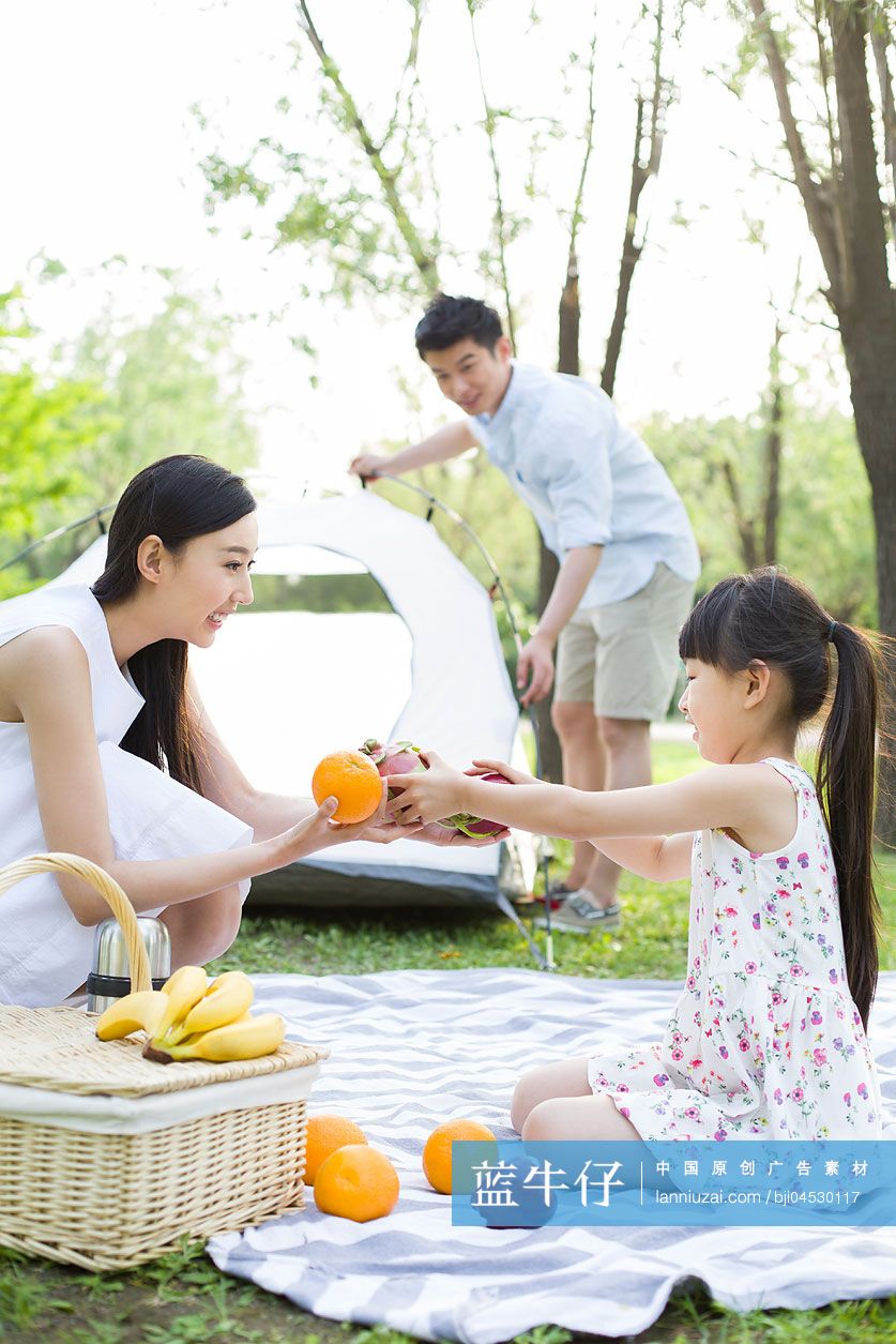 快乐的年轻家庭在草地上野餐