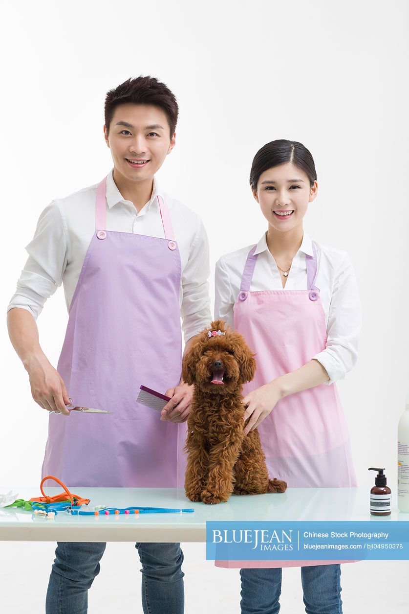 Chinese groomers with a cute poodle