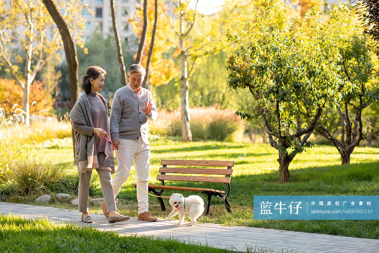 开心的老年夫妇在公园遛狗