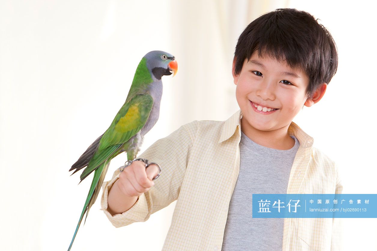 小男孩和鹦鹉