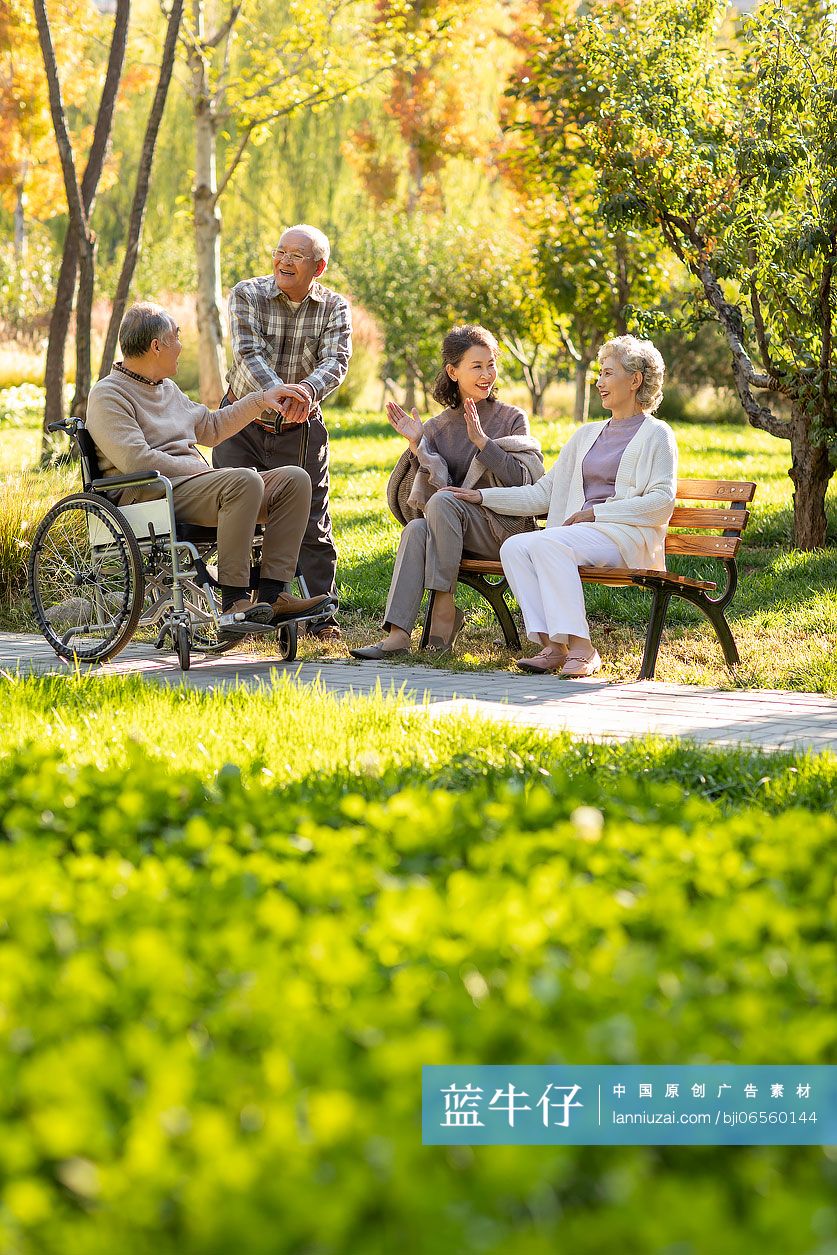 快乐的老年人在公园聊天