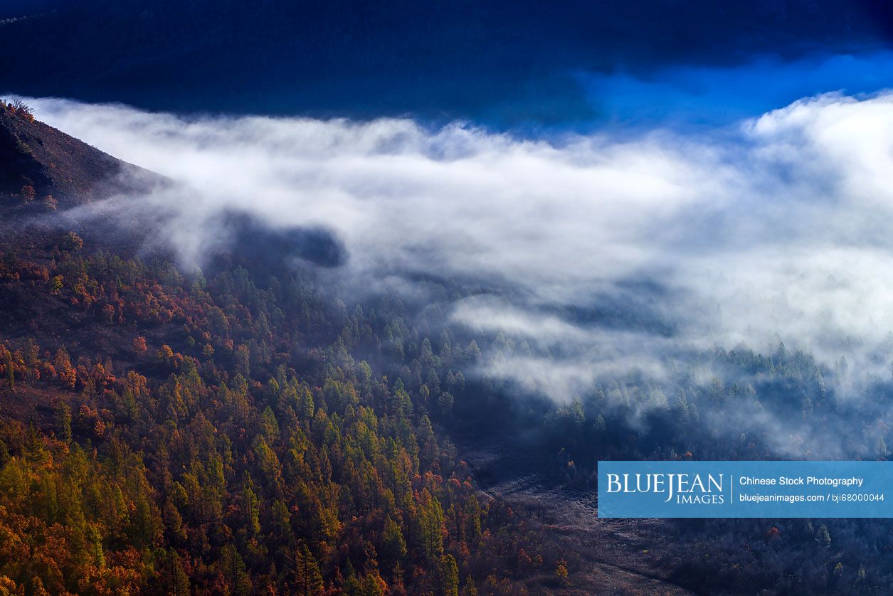 Natural Scenery of Aershan covered by fog,China