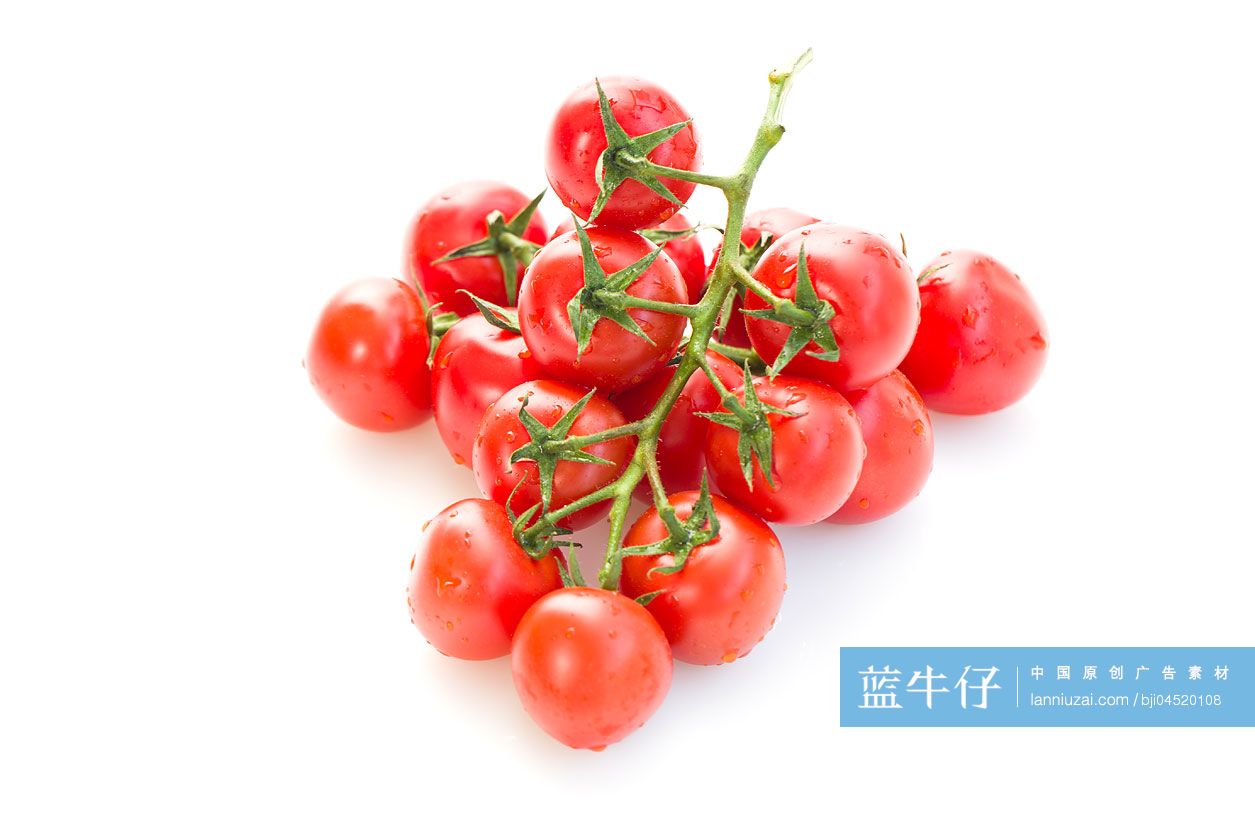 新鲜的小番茄
