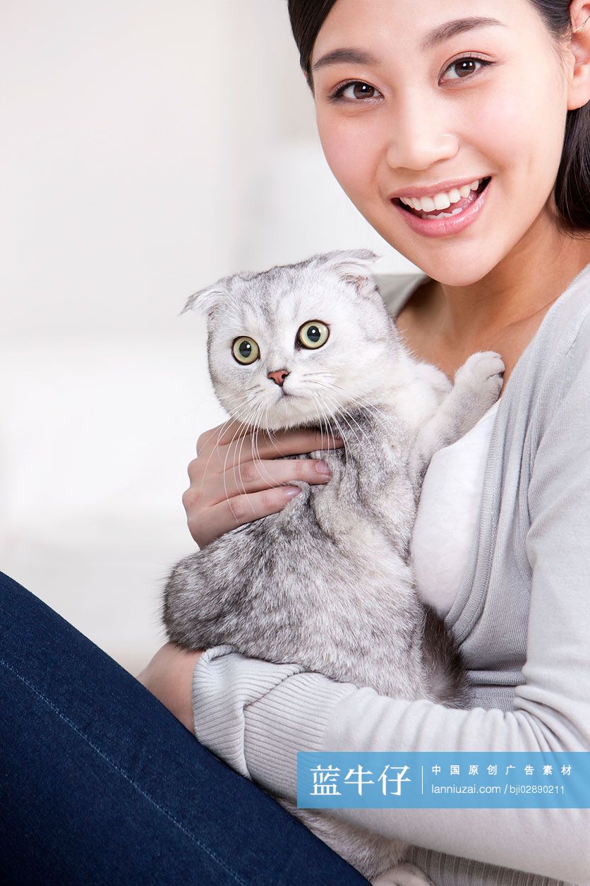 青年女子和苏格兰折耳猫