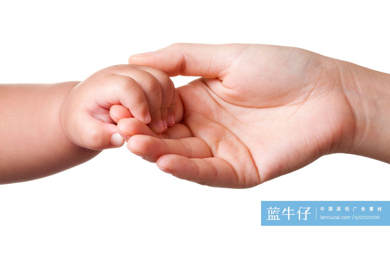 婴儿和成人手拉手