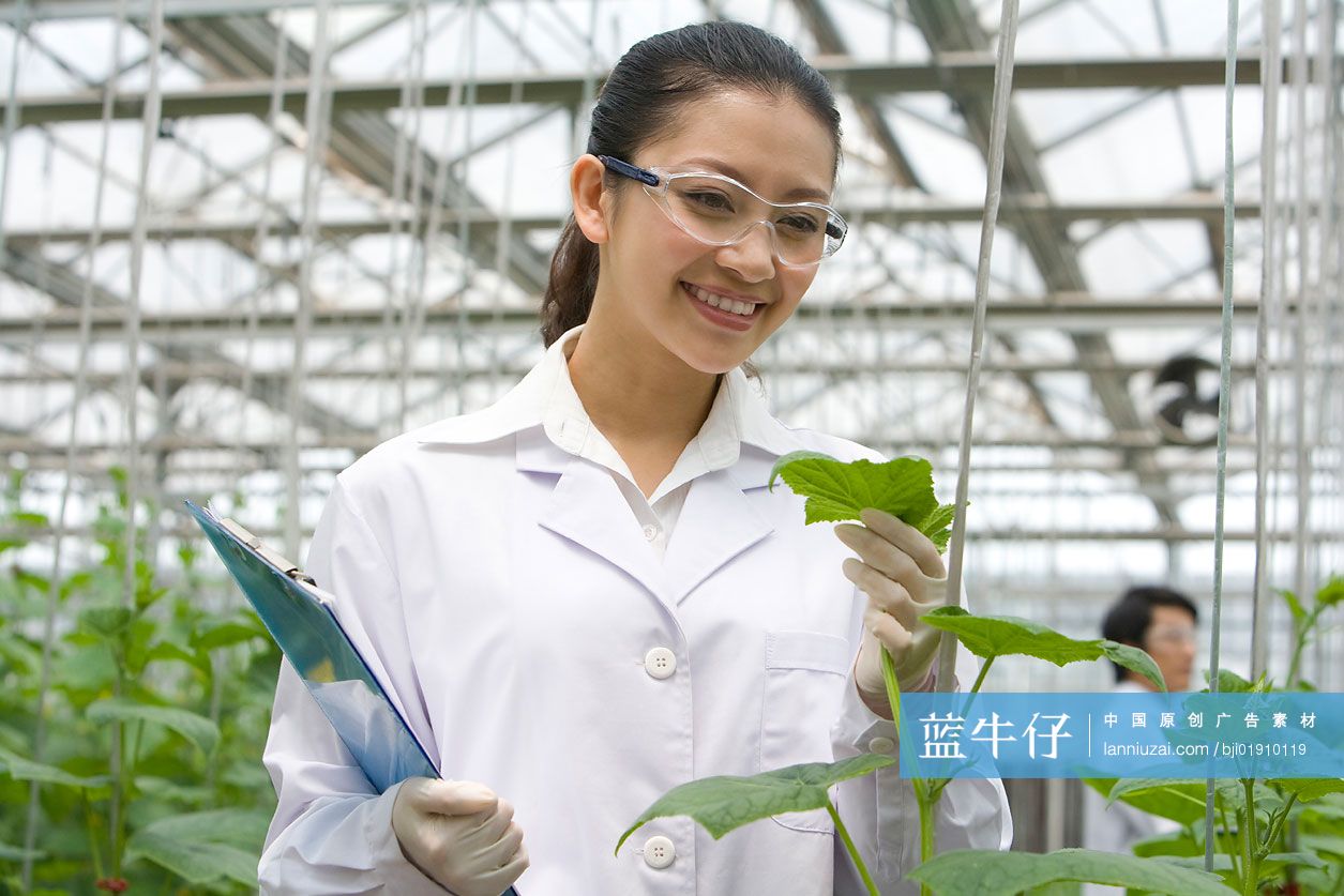 农艺师在现代农庄做科学研究