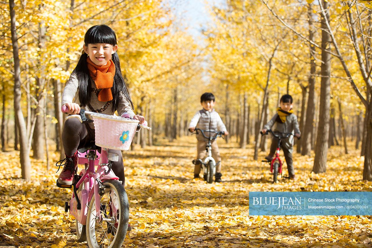 Three Chinese children cycling in autumn woods