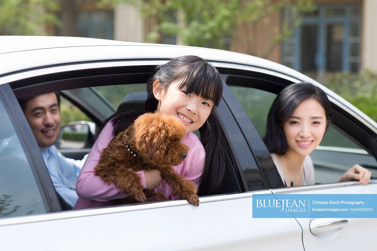 Happy young Chinese family with their pet dog sitting in car