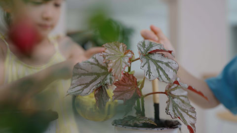 Girl and boy enjoy potting plants together at home
