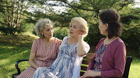 Senior Chinese friends talking in park,4K