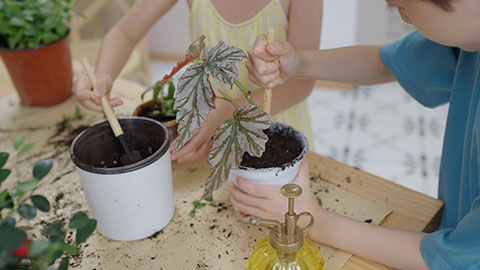 Girl and boy enjoy potting plants together at home